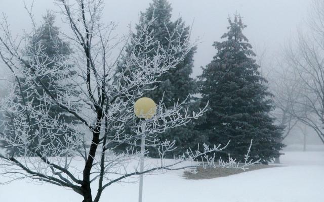 Campus photo in the winter